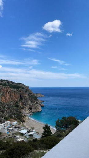 Bella vista